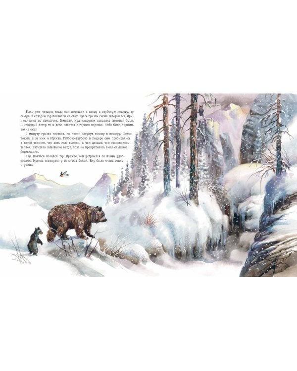 Гризли (ил. В. Канивца)