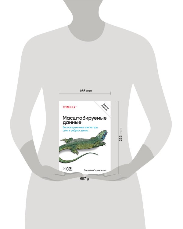 Масштабируемые данные. Высоконагруженные архитектуры, Data Mesh и Data Fabric. 2-е изд.