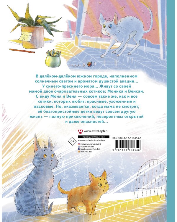 Моня и Веня: котики, которых любят