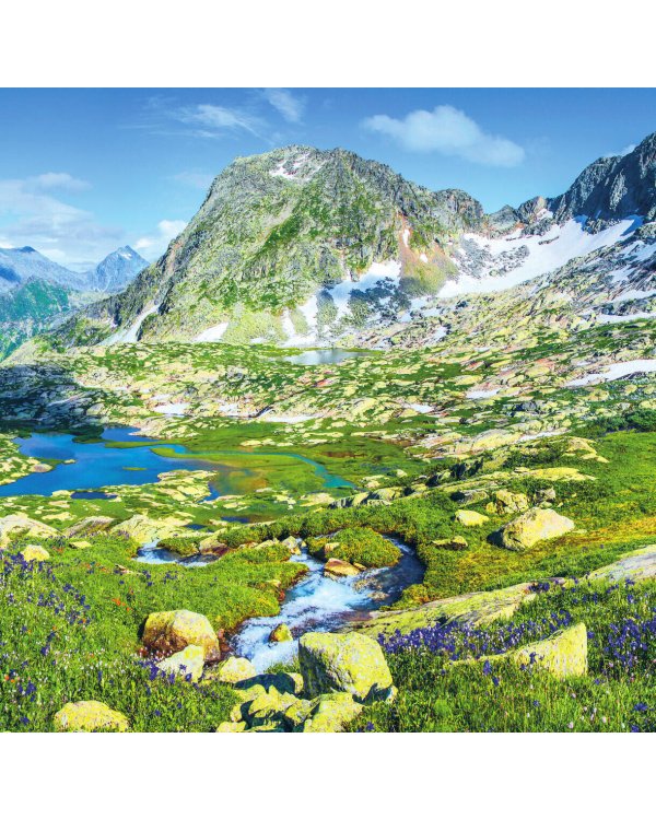 Иди туда, где страшно в России. Календарь настенный на 2025 год