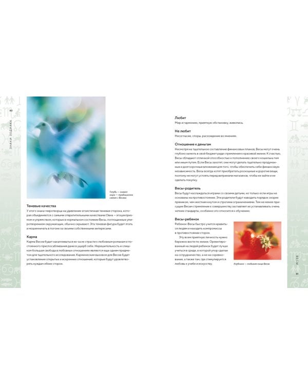 Библия астрологии. Как гармонизировать отношения с окружающими, построить успешную карьеру и улучшить здоровье