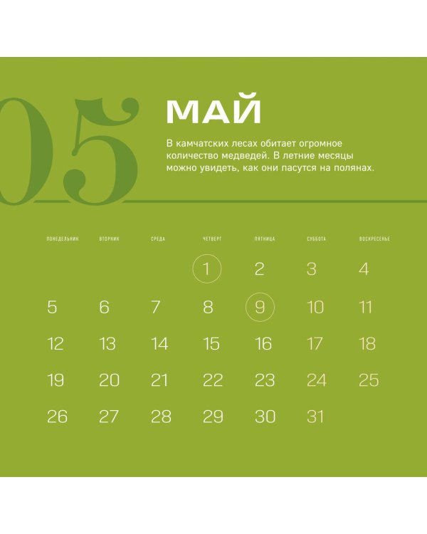 Иди туда, где страшно в России. Календарь настенный на 2025 год