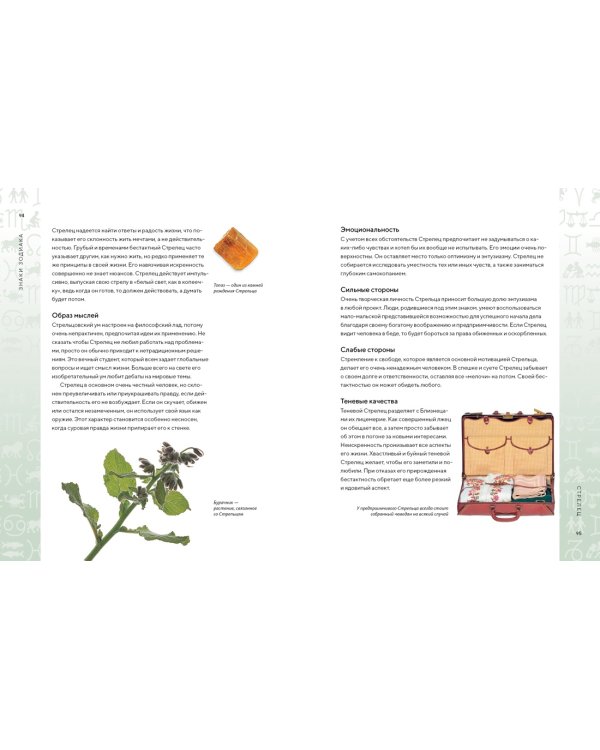 Библия астрологии. Как гармонизировать отношения с окружающими, построить успешную карьеру и улучшить здоровье