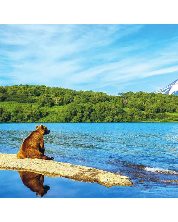 Иди туда, где страшно в России. Календарь настенный на 2025 год