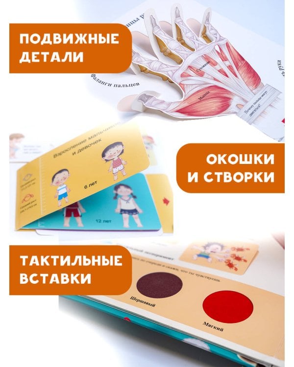 Все секреты человека