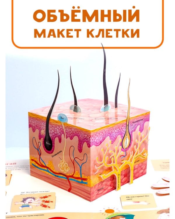 Все секреты человека