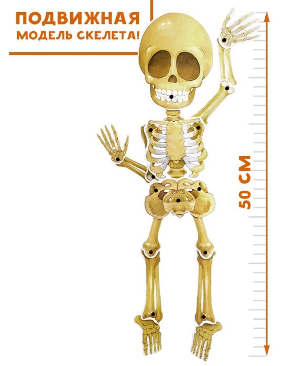 Все секреты человека