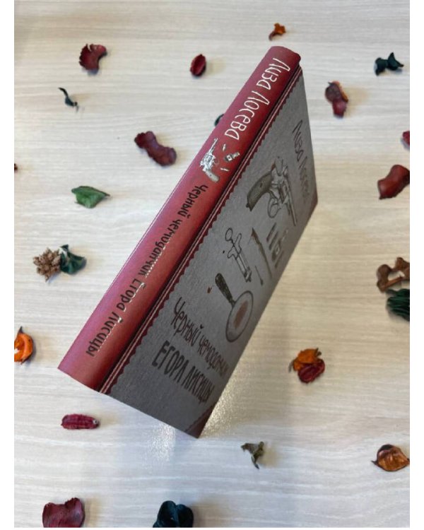 Черный чемоданчик Егора Лисицы