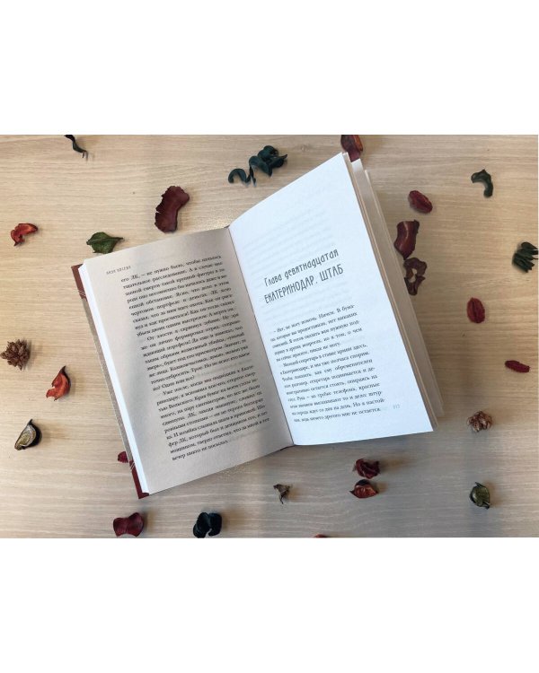 Черный чемоданчик Егора Лисицы