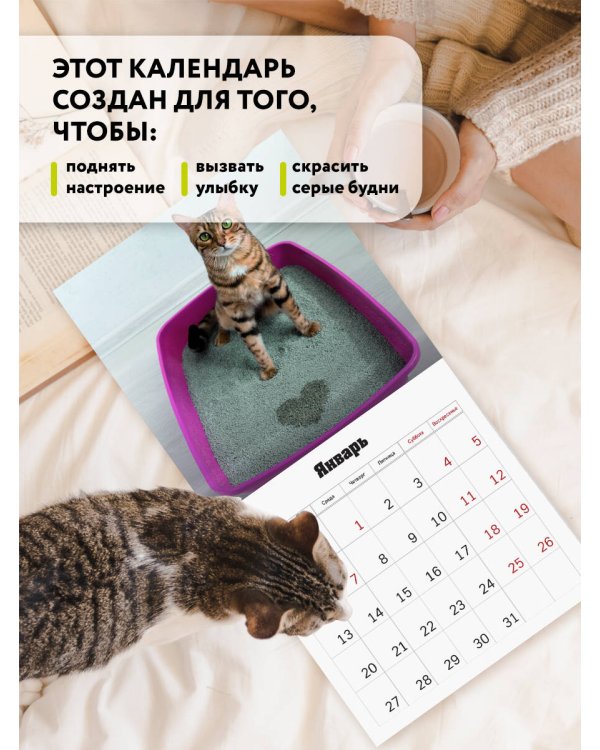 Все кошки делают это. Календарь настенный на 2025 год (300х300 мм)