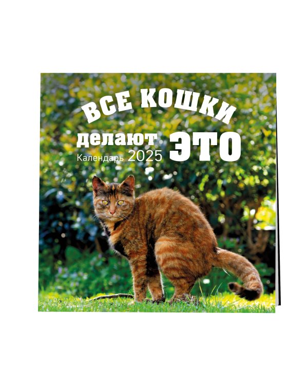 Все кошки делают это. Календарь настенный на 2025 год (300х300 мм)