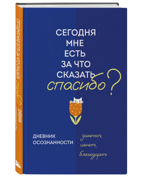 Дневник осознанности. Сегодня мне есть, за что сказать спасибо?
