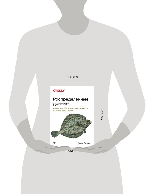 Распределенные данные. Алгоритмы работы современных систем хранения информации