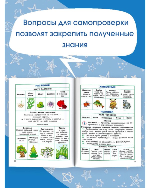 Полный курс начальной школы. Русский язык, математика, окружающий мир