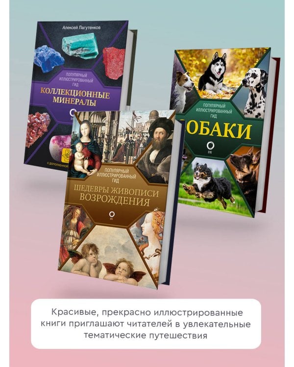 Автомобили. Популярный иллюстрированный гид