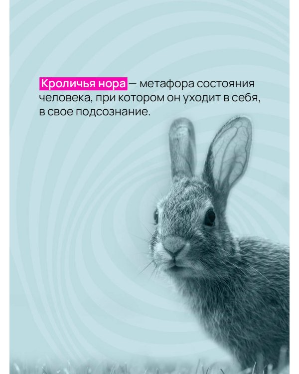 Вниз по кроличьей норе