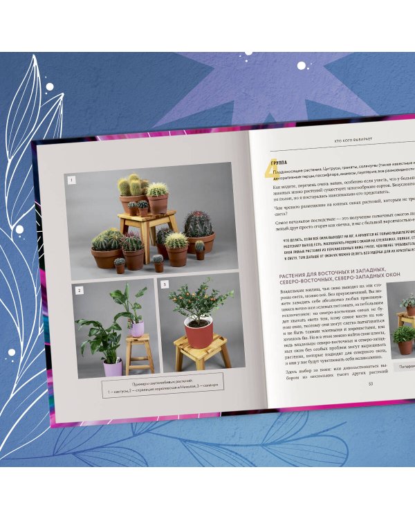 Про растения. Как выбрать комнатные под свой стиль и ухаживать за ними без стресса