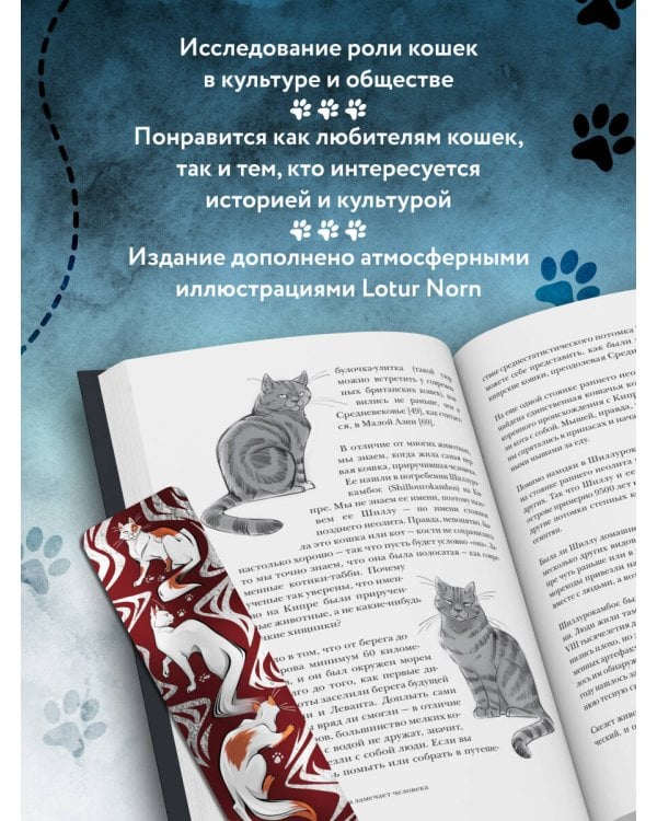 Котики в мировой культуре. Как котики проникли не только в наши дома и сердца, но и в наши сны, сказки и заклинания (книга+закладка)