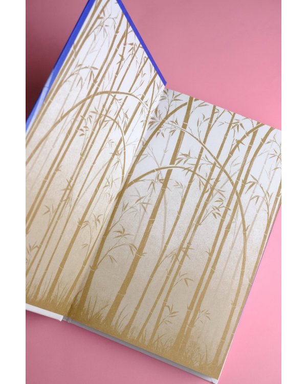 Девятая дочь великого Риши