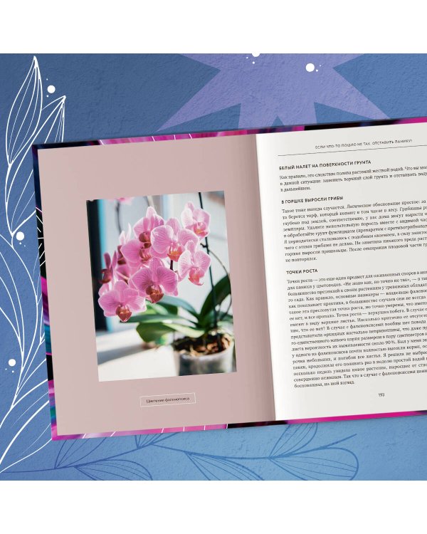 Про растения. Как выбрать комнатные под свой стиль и ухаживать за ними без стресса