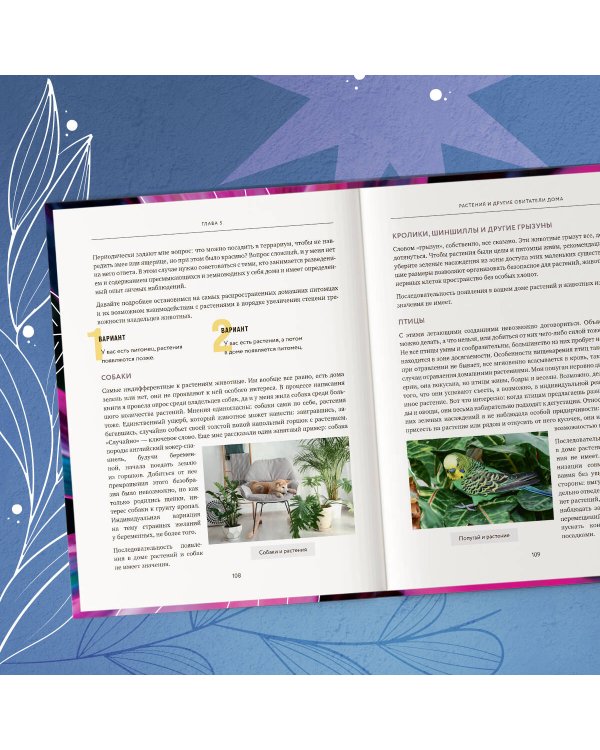 Про растения. Как выбрать комнатные под свой стиль и ухаживать за ними без стресса