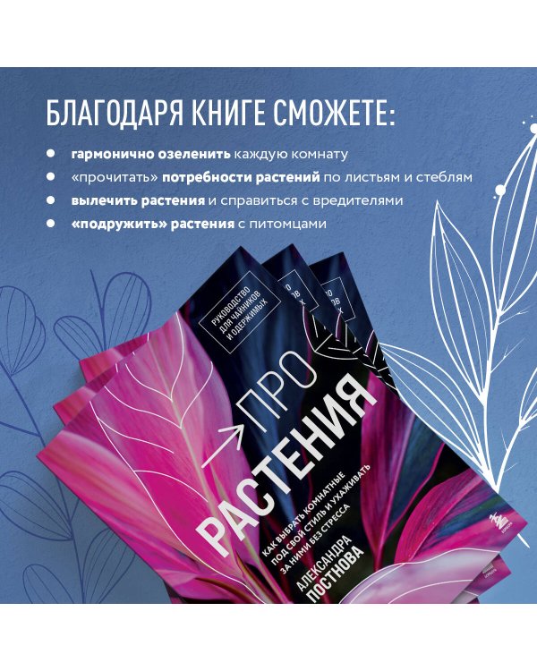 Про растения. Как выбрать комнатные под свой стиль и ухаживать за ними без стресса