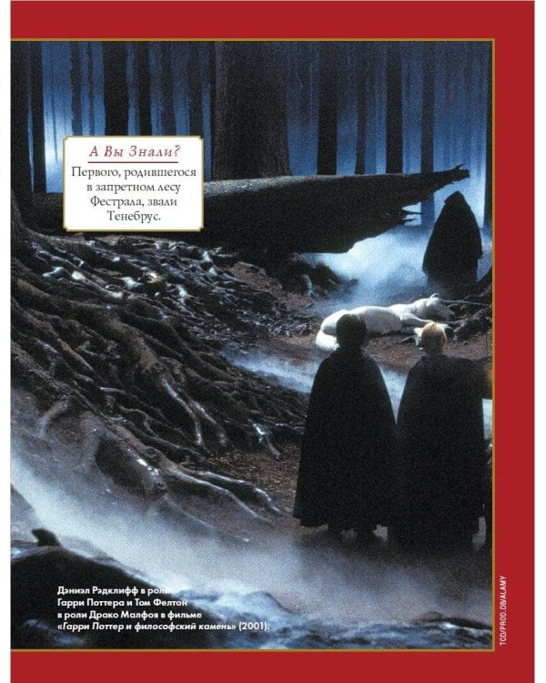 Лучшие головоломки по волшебному миру Гарри Поттера