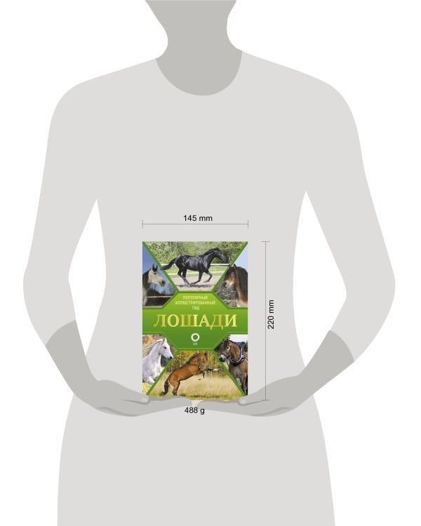 Лошади. Иллюстрированный гид