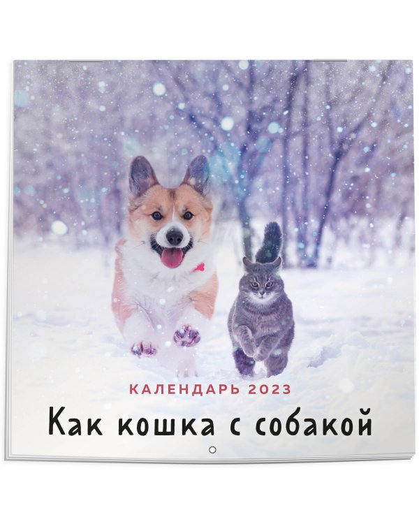Как кошка с собакой. Календарь настенный на 2023 год (300х300 мм)