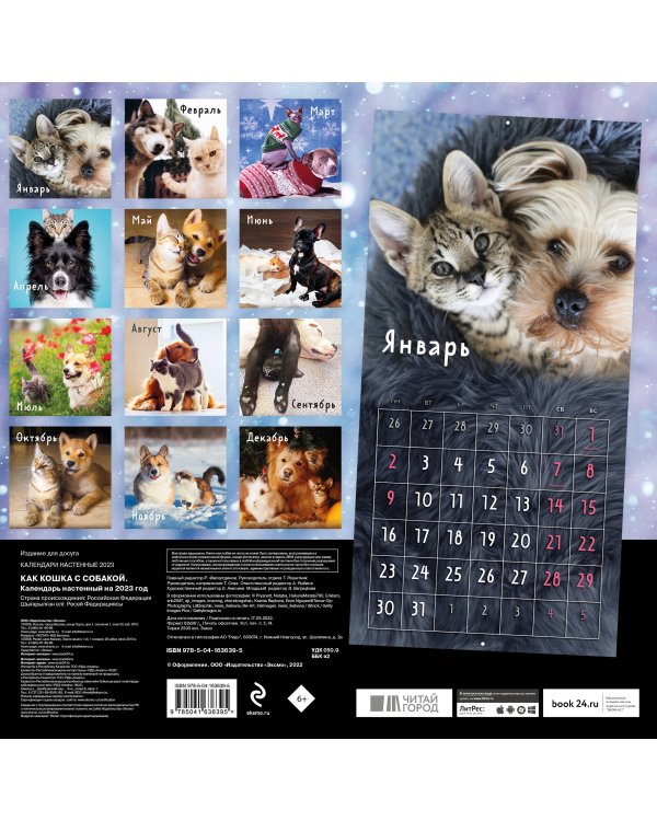Как кошка с собакой. Календарь настенный на 2023 год (300х300 мм)