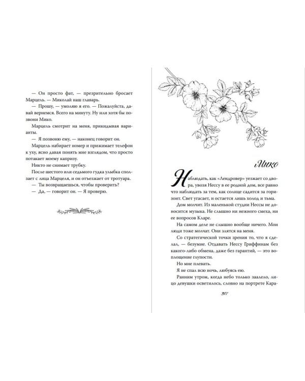 Пленённая принцесса (#2)