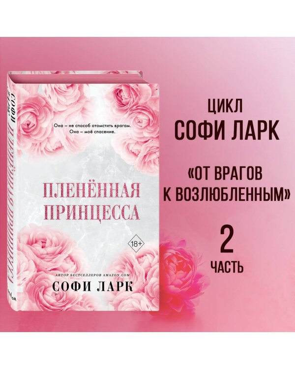 Пленённая принцесса (#2)