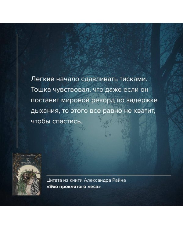 Эхо проклятого леса