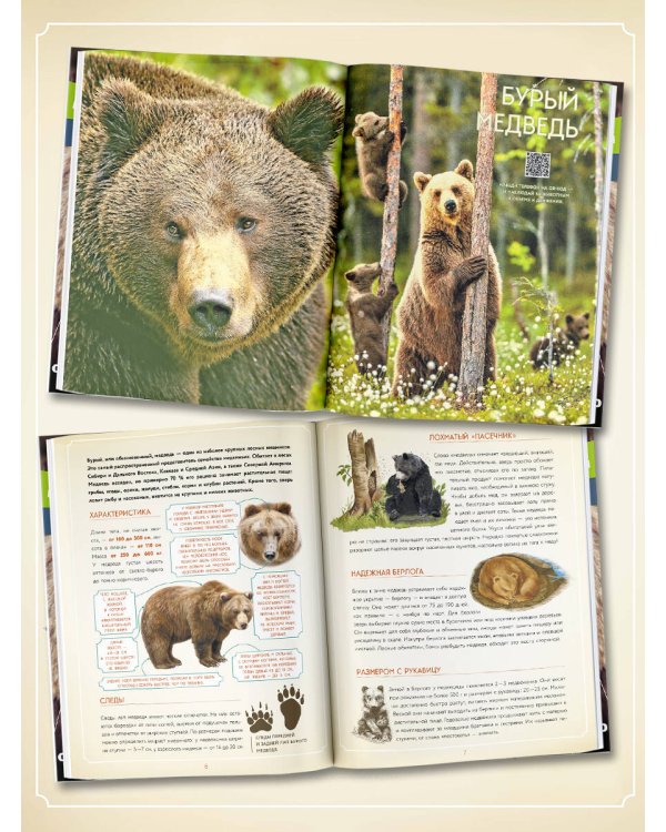 Животные в натуральную величину