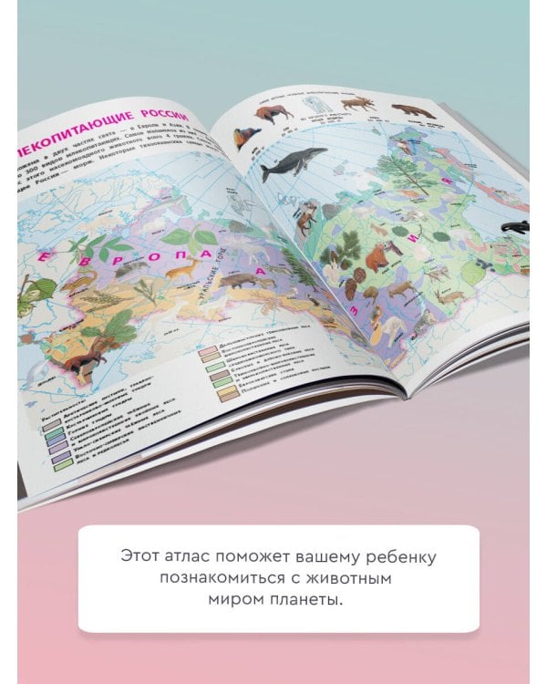 Животные. Мой первый атлас с наклейками