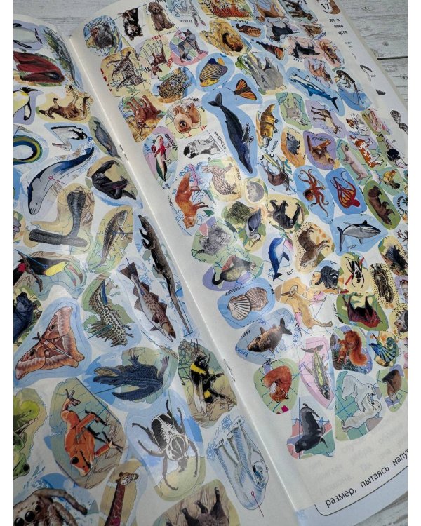 Животные. Мой первый атлас с наклейками
