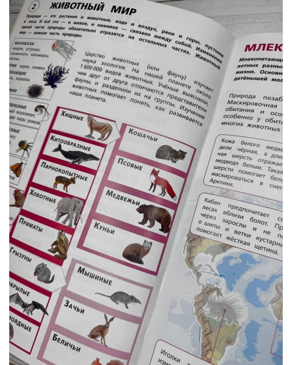 Животные. Мой первый атлас с наклейками