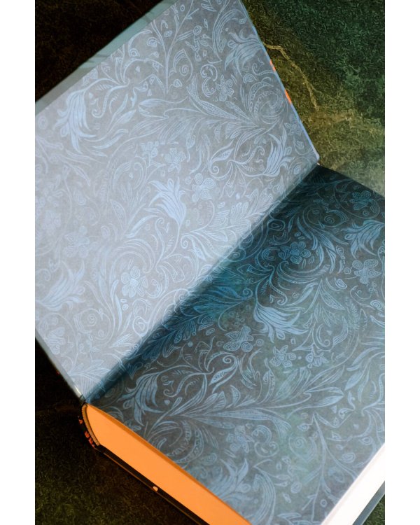 Близнецы. Том 1