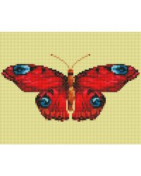 480-ST-PS Павлиний глаз