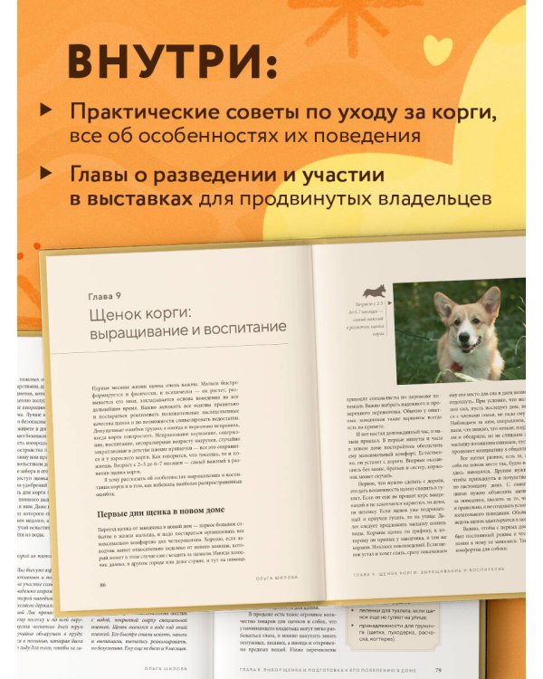 Великолепные корги. Все о породах вельш-корги-пемброк и вельш-корги-кардиган