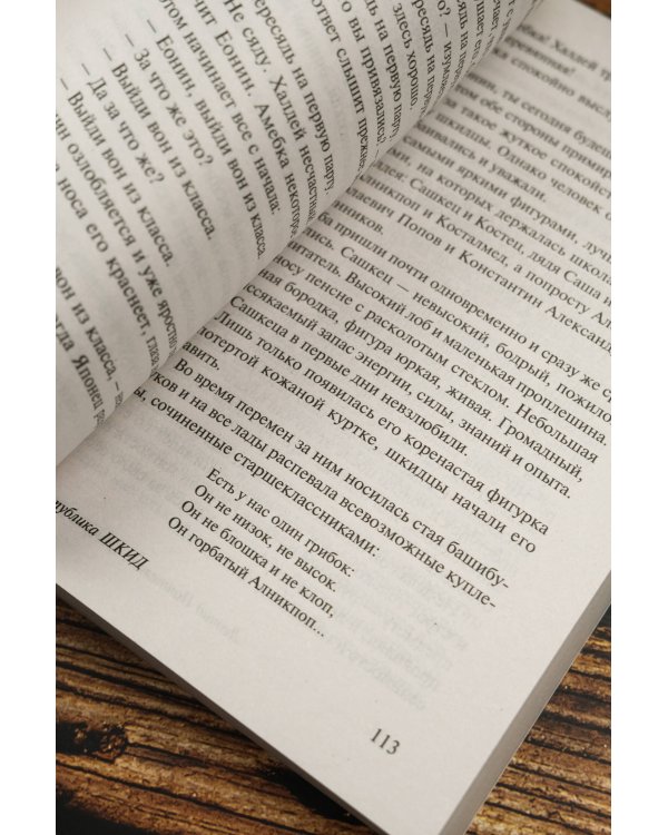 Республика ШКИД