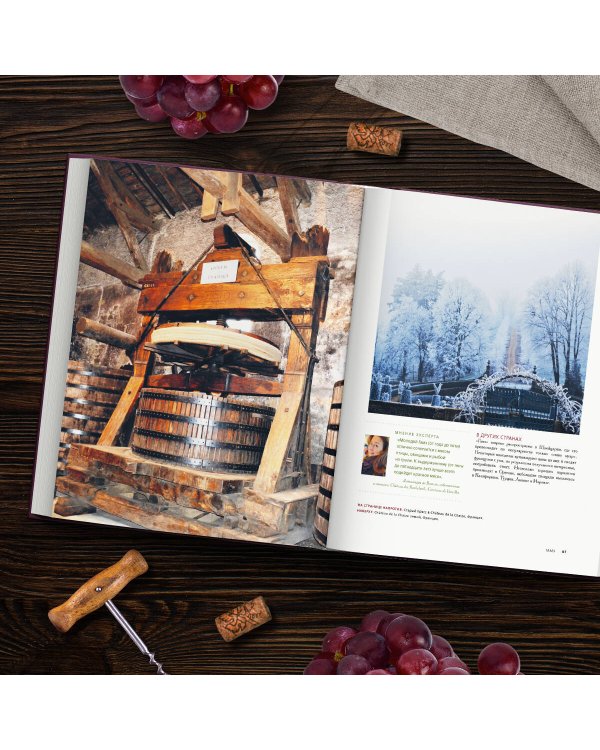 Красное вино. Комплексное руководство по 50 сортам и стилям