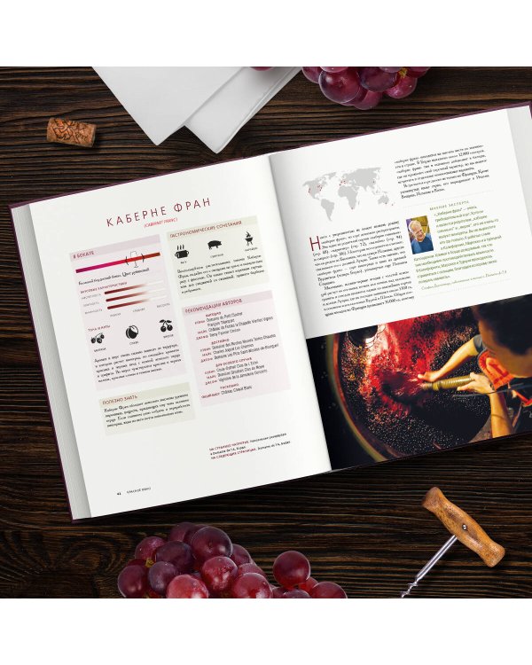 Красное вино. Комплексное руководство по 50 сортам и стилям