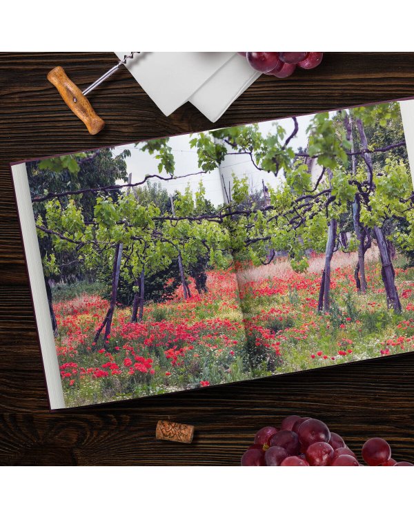 Красное вино. Комплексное руководство по 50 сортам и стилям