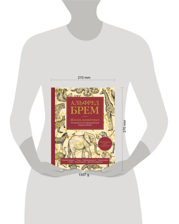 Жизнь животных. Большая иллюстрированная энциклопедия