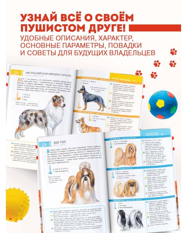 Породы собак. Определитель