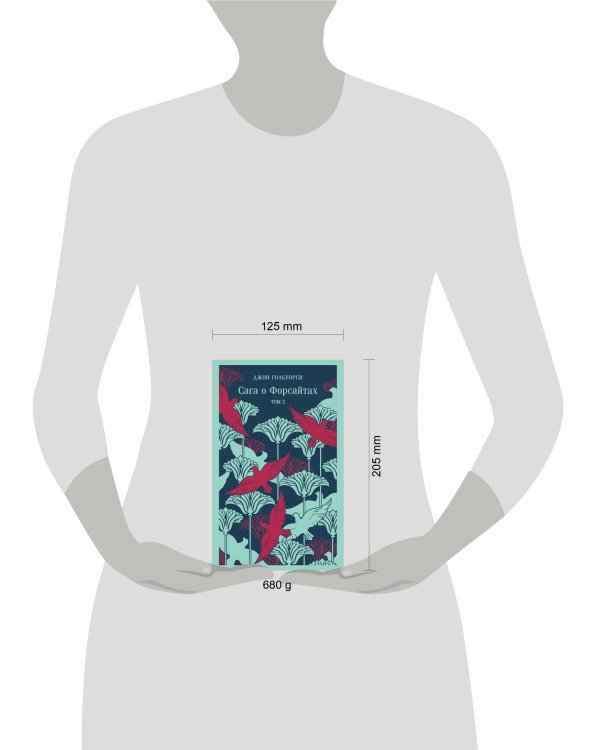 Сага о Форсайтах. Том II