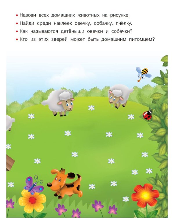 Домашние любимцы