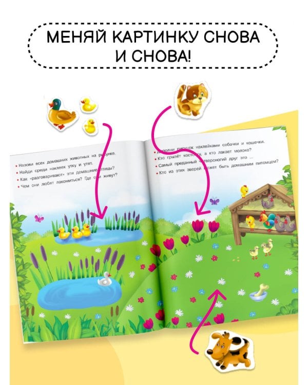 Домашние любимцы