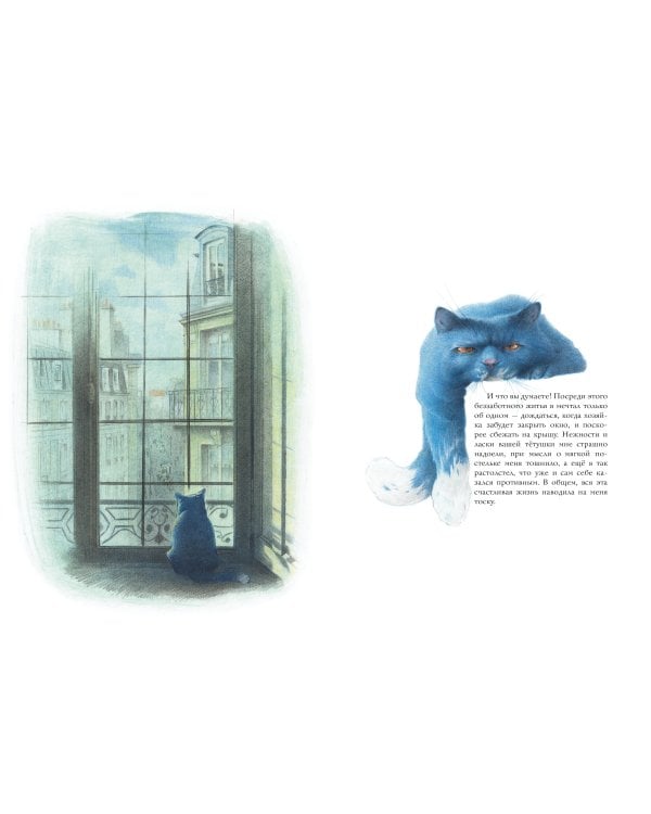 Кошачий рай